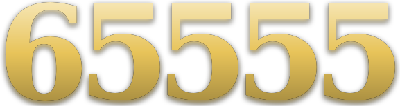 65555 logo